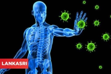 நோய் எதிர்ப்பு சக்தியை எளிதான முறையில் அதிகரிக்க வேண்டுமா? இந்த உணவுகளை சாப்பிடலாம்