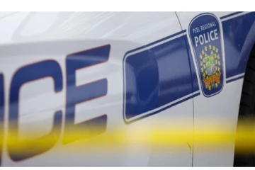 மிசிசாகாவில் வாகன விபத்து: ஒருவர் உயிரிழப்பு