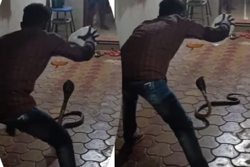Viral Video: படமெடுத்து பயமுறுத்திய பாம்பு... சாமர்த்தியமாக பிடித்து மிரட்டிய நபர்