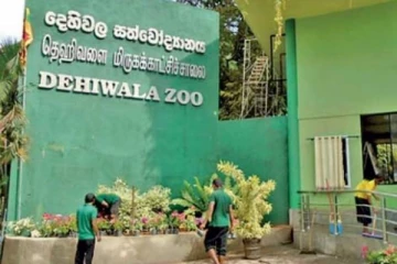 மிருகக்காட்சிசாலையில் விலங்குகளுக்கு நேர்ந்த நிலை!