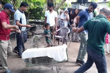 திருகோணமலையில் கண்டறியப்பட்ட அறிய வகை விலங்கு