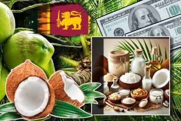 இலங்கையின் தேங்காய் ஏற்றுமதி வருமானம் பாரியளவில் உயர்வு!