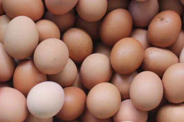 மூன்று நாட்களில் 64 முட்டை வழக்குகள்!