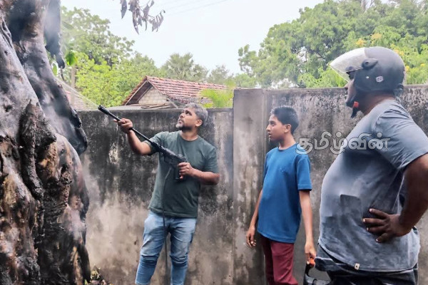 தம்பலகாமம் பிரதேசத்தில் உள்ள பாடசாலையில் காணப்பட்ட மரத்தில் தீ விபத்து | Sudden Disaster Caused By A Tree Fire