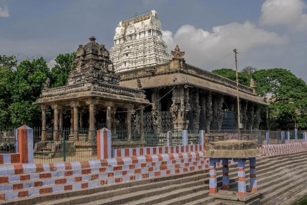 திருப்பதி கோயிலுக்கு இணையான தமிழ்நாட்டில் உள்ள பெருமாள் கோயில் | Varadharaja Perumal Temple திருப்பதி கோயிலுக்கு இணையான தமிழ்நாட்டில் உள்ள பெருமாள் கோயில் | Varadharaja Perumal Temple