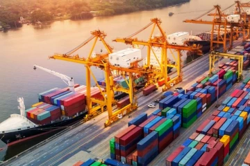 තහනමට ලක්වූ භාණ්ඩ වර්ග 101 යළි ආනයනයට අවසර.