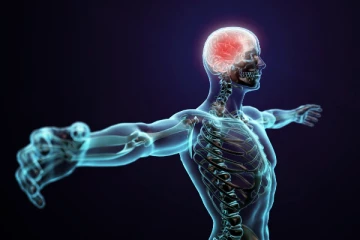 நரம்புகள் வலுப்பெற்று முறுக்கேற உதவும் உணவுகள் இவைதான்! தெரிந்து கொள்வோம்