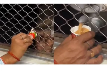 நீங்க ஒரு Scientist நிரூபிச்சிட்டீங்க..தேநீர் விற்பனையாளர் செய்த செயல் - வைரல் வீடியோ!