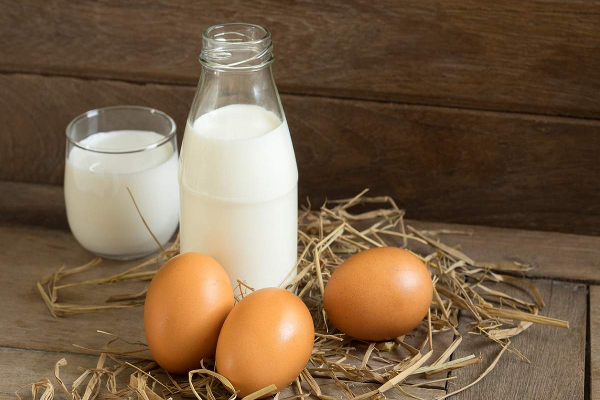 கடும் சரிவை சந்தித்த பால் மற்றும் முட்டை உற்பத்தி! | Milk And Egg Production Suffered A Sharp Decline