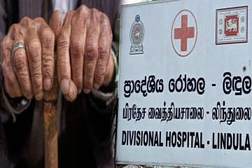 குளவி கொட்டுக்கு இலக்காகி ஒருவர் உயிரிழப்பு - 7 பேர் வைத்தியசாலையில் அனுமதி