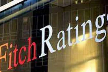 ஏழு காப்புறுதி நிறுவனங்களை தரமிறக்கிய பிட்ச் மதிப்பீட்டு நிறுவனம்