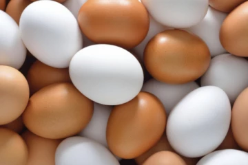 260 ரூபாய்க்கு முட்டை விற்பனை செய்தவருக்கு ஐந்து லட்சம் ரூபாய் அபராதம்