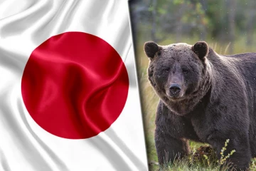 வெளிநாடொன்றி்ல் கரடிகளால் அதிகரித்துள்ள தாக்குதல்கள்: அரசு அதிரடி தீர்மானம்