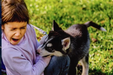 சிறுவர்களை துரத்தி,துரத்தி நாய்கள் கடிப்பது ஏன்..! வெளியான திடுக்கிடும் தகவல்