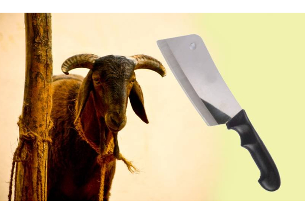 ஆட்டை வெட்டுவதாக நினைத்து தன் பிறப்புறுப்பை வெட்டிக்கொண்ட நபர்! அதிர்ச்சி சம்பவம்; | Men Own Penis While Dreaming Slaughtering Goat