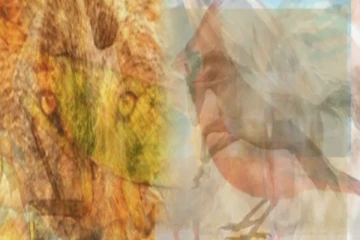 Optical Illusion: வெறும் 5 நொடிகளில் பாம்பை கண்டுபிடித்தால் உங்களது பார்வை பருந்து பார்வை