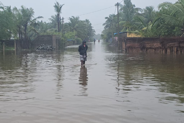 பேரனர்த்தத்தில் உயிரிழந்த விலங்குகளை கையாள்வது குறித்த முக்கிய வழிகாட்டுதல்கள் | Important Guidelines Animals Dead Major Disaster