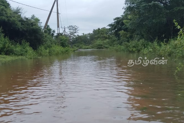 முல்லைத்தீவில் வெள்ளத்தினால் தனிமைப்படுத்தப்பட்ட கிராமம் (Photos) | Flood Quarantine Chiratikulam முல்லைத்தீவில் வெள்ளத்தினால் தனிமைப்படுத்தப்பட்ட கிராமம் (Photos) | Flood Quarantine Chiratikulam