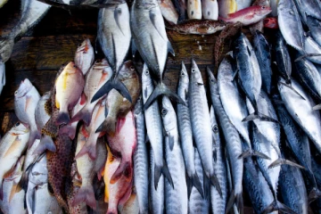 நாட்டில் மீன்களின் விலை திடீர் அதிகரிப்பு