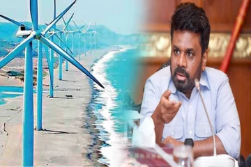 மன்னாரில் காற்றாலை திட்டத்தை இடைநிறுத்த தீர்மானம்