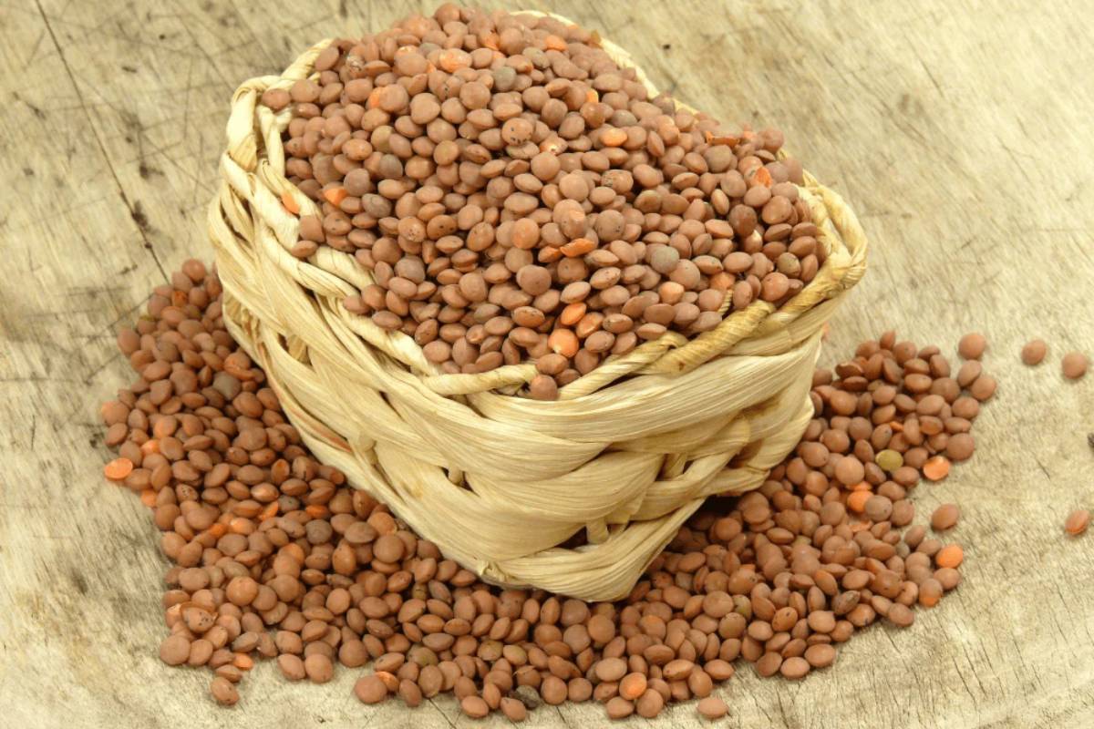 அடிக்கடி உணவில் ஒரு கப் கொள்ளு.., கிடைக்கும் நன்மைகள் என்ன? | Health Benefits Of Eating Horse Gram In Tamil அடிக்கடி உணவில் ஒரு கப் கொள்ளு.., கிடைக்கும் நன்மைகள் என்ன? | Health Benefits Of Eating Horse Gram In Tamil