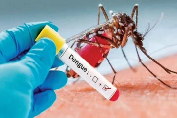 நாட்டில் மீ்ண்டும் அதிகரிக்கும் டெங்கு நோய் பரவல்! தேசிய டெங்கு கட்டுப்பாட்டு பிரிவு எச்சரிக்கை