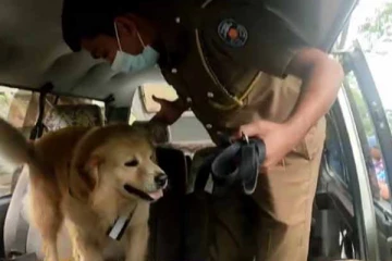 සියල්ලන් පුදුම කරමින් "ස්ටුවඩ්" සිදුකළ විශිෂ්ට මෙහෙයුම..