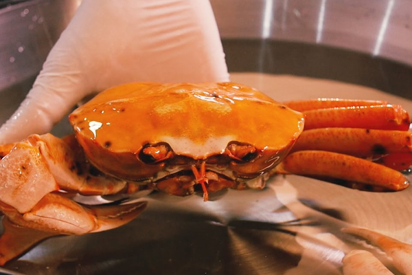 நண்டு, இறால்களை உயிருடன் கொதிக்க வைக்க வருகிறது தடை! | Boiling Crab And Prawns Alive Is Prohibited நண்டு, இறால்களை உயிருடன் கொதிக்க வைக்க வருகிறது தடை! | Boiling Crab And Prawns Alive Is Prohibited