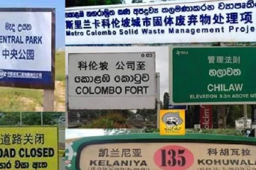 சீனர்கள் தமிழை புறக்கணிப்பது ஏன்? வெளிவந்த தகவல்