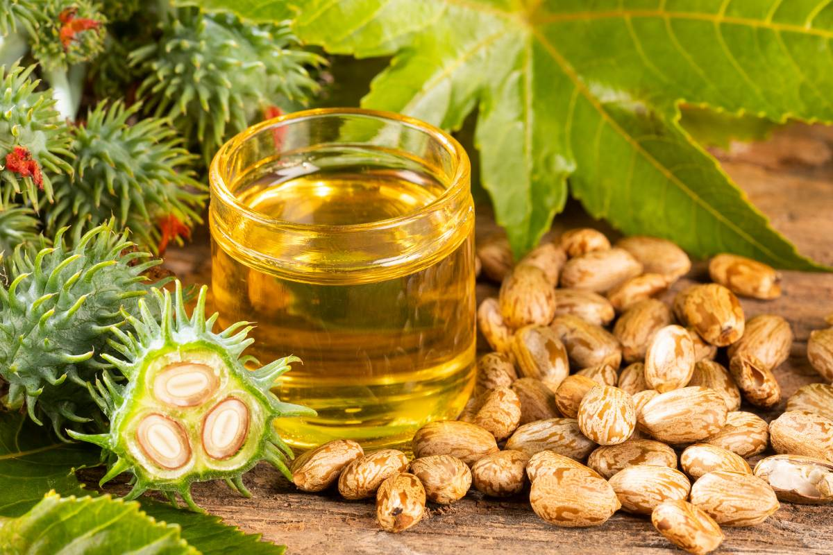 Castor Oil for hair growth: அடர்த்தியான முடி வளர்ச்சிக்கு | 5 Ingredients To Mix With Castor Oil For Thickhair Castor Oil for hair growth: அடர்த்தியான முடி வளர்ச்சிக்கு | 5 Ingredients To Mix With Castor Oil For Thickhair
