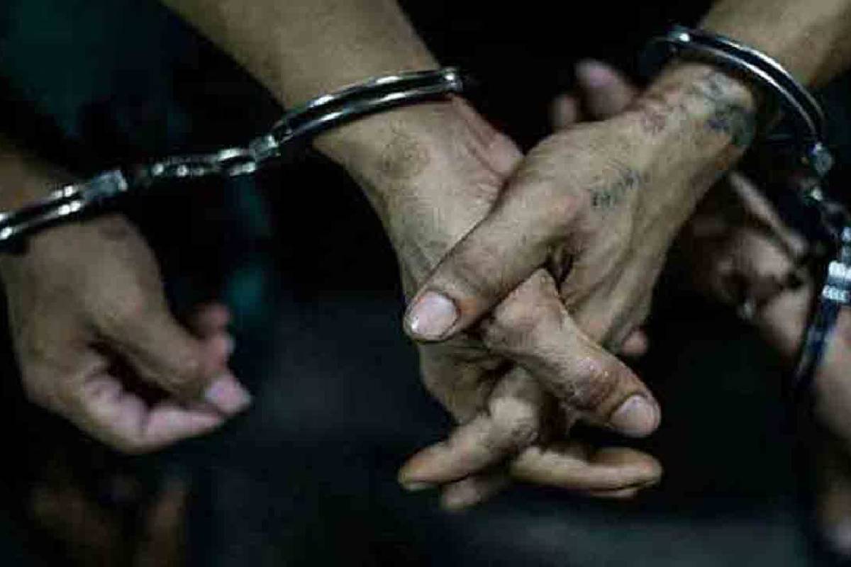 திருகோணமலையில் கனரக வாகனங்களுடன் மூவர் கைது! | 3 Arrested In Sand Without A Permit Trinco திருகோணமலையில் கனரக வாகனங்களுடன் மூவர் கைது! | 3 Arrested In Sand Without A Permit Trinco