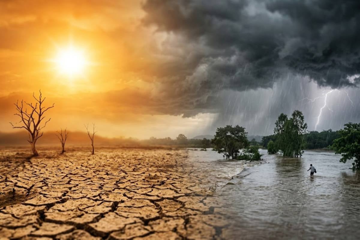 எல் நினோ காலநிலையால் இலங்கைக்கு காத்திருக்கும் அபாயம் | El Nino Poses A Risk Of Impacting The Country எல் நினோ காலநிலையால் இலங்கைக்கு காத்திருக்கும் அபாயம் | El Nino Poses A Risk Of Impacting The Country