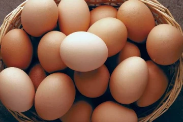 மீண்டும் உயர்ந்தது முட்டையின் விலை