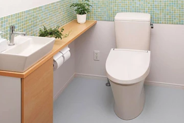 වැසිකිලි සිහිනය හීනයක් කරමින් ආනයනයට අදාලව රජය ගත් තීරණය මෙන්න..ජනතාව තවත් අසරණ කරයි..