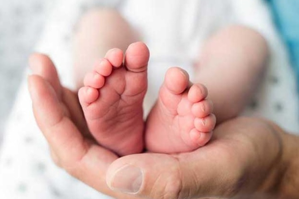 வடக்கில் மூடப்பட்டுள்ள நூற்றுக்கணக்கான பாடசாலைகள்: ஆளுநர் வெளியிட்டுள்ள தகவல் | Norther Province School In Jaffna