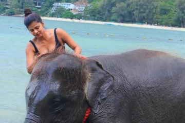 யானையுடன் குளியல்!! பாடகி ஸ்வாகதாவின் நீச்சல் உடை புகைப்படங்கள்..