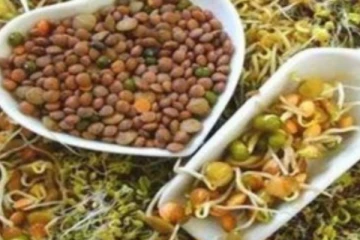 முளைகட்டிய பயறு வகைகள்... இதில் இருக்கும் வைட்டமின்கள் என்னென்ன தெரியுமா?