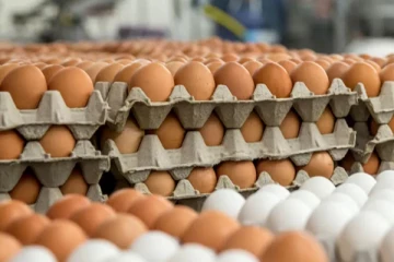 இலங்கையில் மீண்டும் உச்சம் தொடும் நிலையில் முட்டையின் விலை