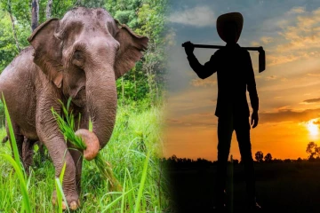 மெதிரிகிரியை பகுதியில் வீடு திரும்பிய விவசாயிக்கு காத்திருந்த அதிர்ச்சி..!