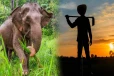 மெதிரிகிரியை பகுதியில் வீடு திரும்பிய விவசாயிக்கு காத்திருந்த அதிர்ச்சி..!