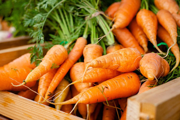 தலை சுற்ற வைக்கும் கரட் மற்றும் போஞ்சி விலை | Carrot And Beans Prices Are Increase
