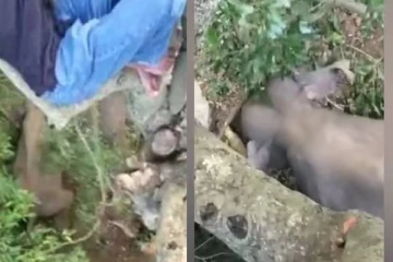 மயிரிழையில் உயிர்தப்பிய இளைஞர்கள்! சமூக வலைத்தளங்களில் வைரலாகும் காணொளி (Video)