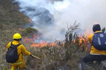 பெருவில் காட்டுத்தீயில் சிக்கி 15 பேர் பலி