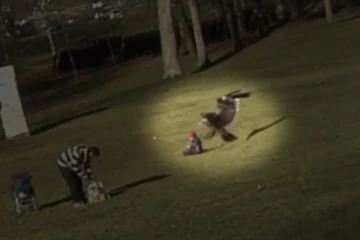 குழந்தையை தூக்கிச் சென்ற கழுகு - இணையத்தில் வைரலான வீடியோ