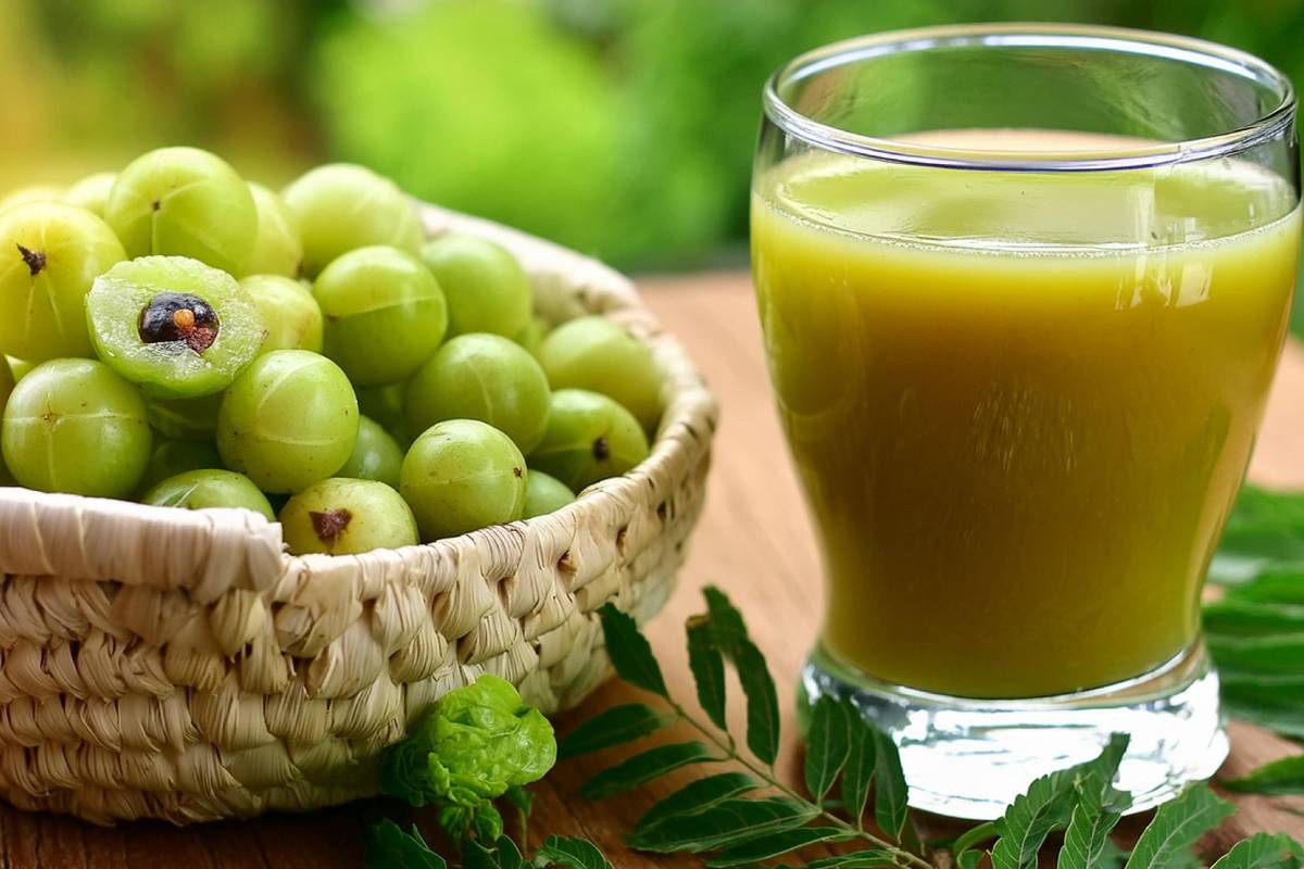 காலையில் வெறும் வயிற்றில் நெல்லிக்காய் ஜூஸ்.., கிடைக்கும் நன்மைகள் என்னென்ன? | Health Benefits Of Drinking Amla Juice In Tamil