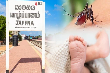 யாழில் டெங்கு காய்ச்சலினால் 11 மாத குழந்தை உயிரிழப்பு