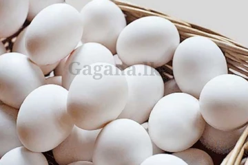 බිත්තර මිලට ආයෙත් කුමක් වෙයි ද?. කරන්න යන දේ ගැන එකවරම දැනුම්දීමක් මෙන්න..