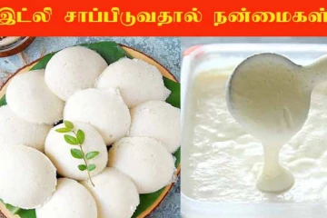 Idli Benefits: தினமும் இட்லி சாப்பிடலாமா? மிகச்சிறந்த உணவாக இருப்பது ஏன்?