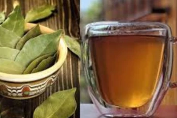பிரியாணி இலையில் டீ... இதயத்தை பாதுகாக்கும் அற்புத குணம் இதுல இருக்குதுனு தெரியுமா?