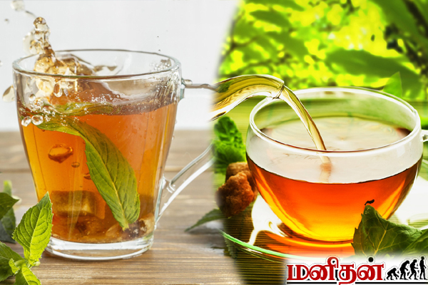 யாரெல்லாம் புதினாவை சாப்பிடவே கூடாது... கட்டாயம் தெரிஞ்சிக்கோங்க | These People Avoid Mint Leaves What Reason யாரெல்லாம் புதினாவை சாப்பிடவே கூடாது... கட்டாயம் தெரிஞ்சிக்கோங்க | These People Avoid Mint Leaves What Reason